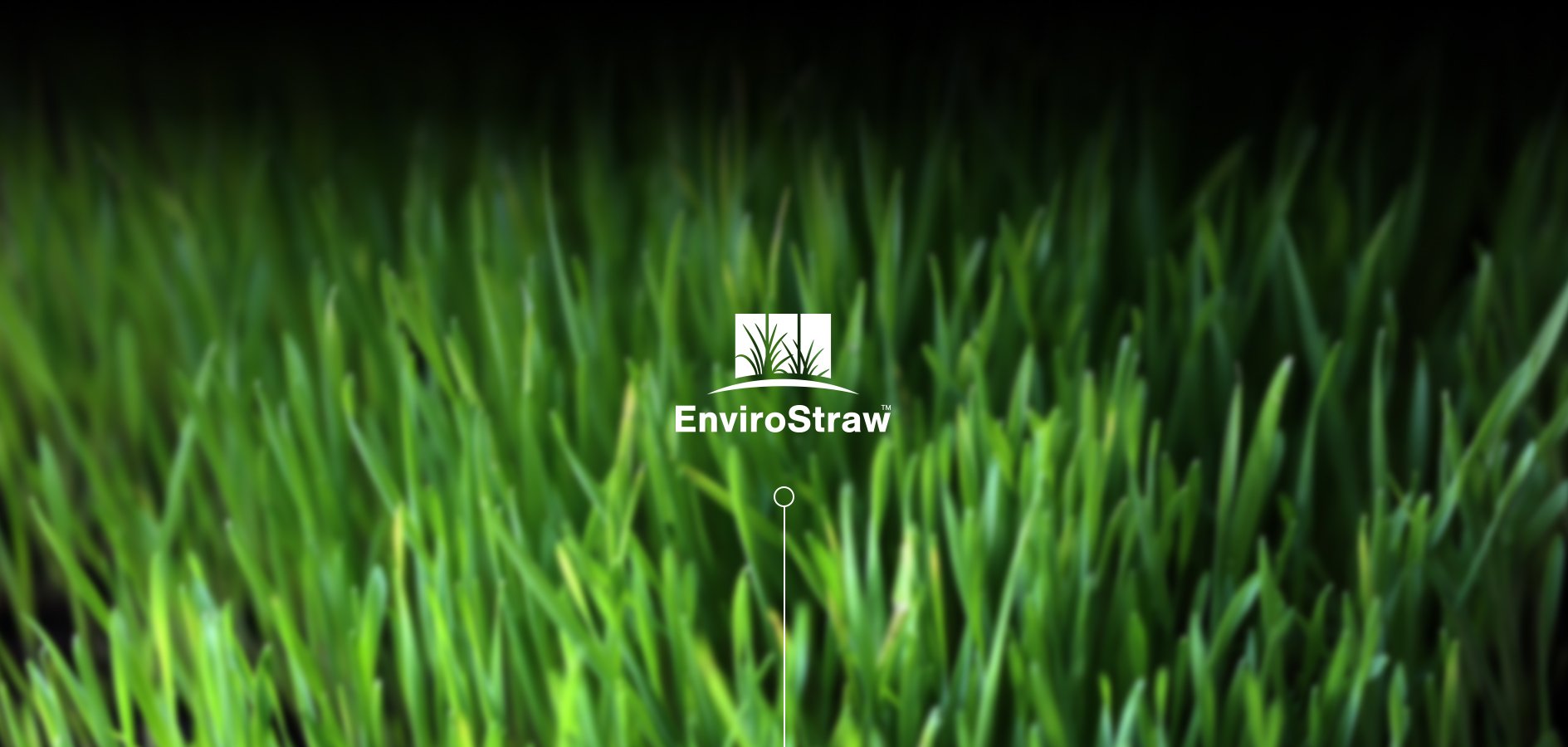 Graphic Design for Brand for Envirostraw by Sketch Corp.