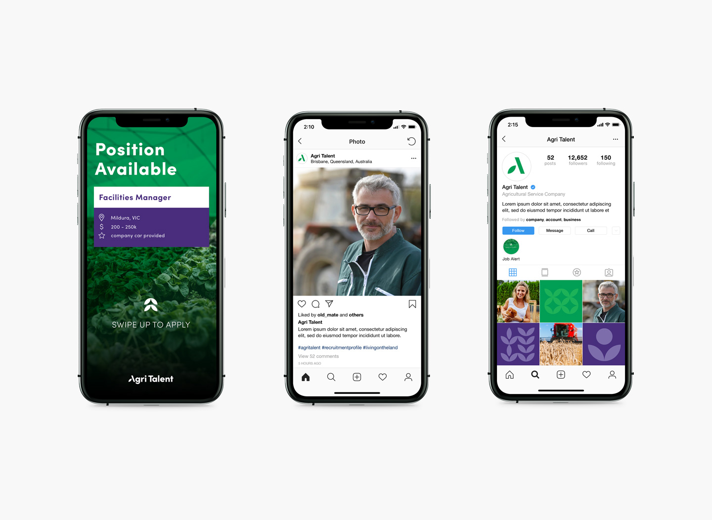 Brand design and visual identity project for Agricultural Recruitment agency Agri Talent