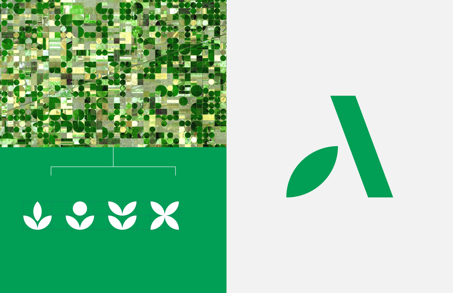 Brand design and visual identity project for Agricultural Recruitment agency Agri Talent