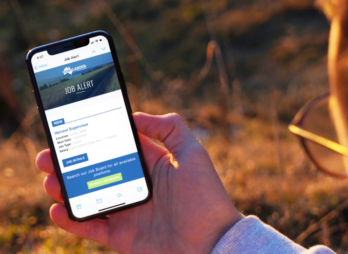 agrilabour job alert on mobile