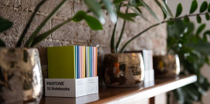 notebooks plants on shelf