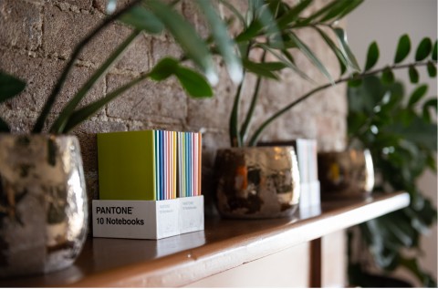 notebook and plant on shelf