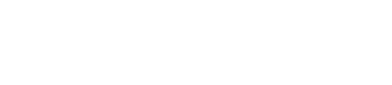 ppi logo