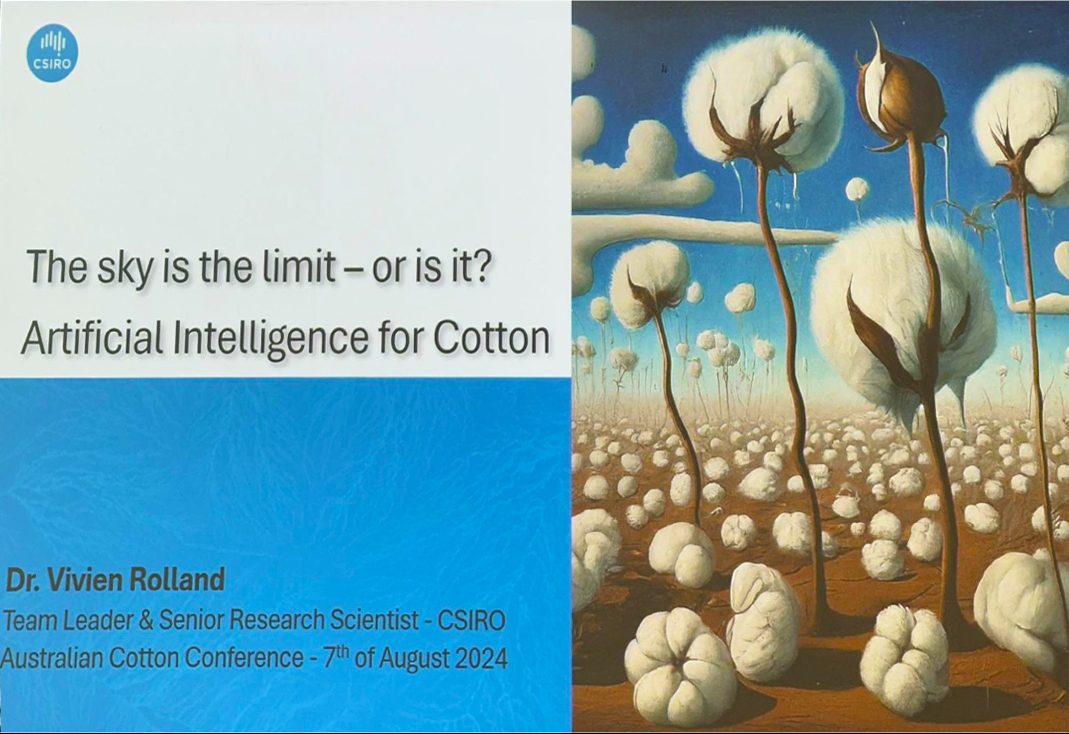 Artificial intelligence for cotton - how will Australia's cotton industry look in the future and how will marketing for agribusinesses support its growth.