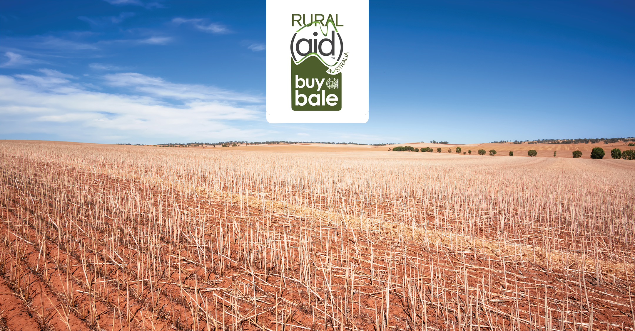 How we can make a real impact for South Australian farmers this Christmas